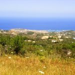 Armeni Paradise - Plot for Development