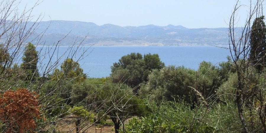 AGIA GALINI PLOT