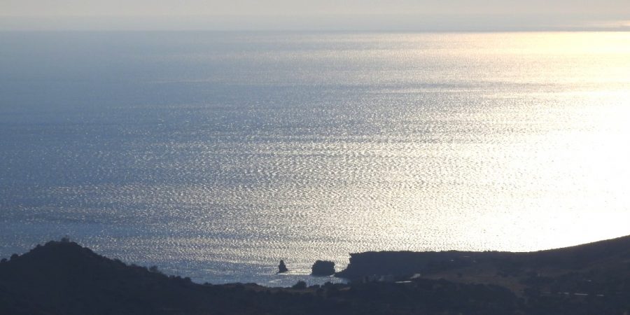 SAKTOURIA PLOT